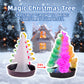 Crystal Growing Experiment Kit (TXX-011)