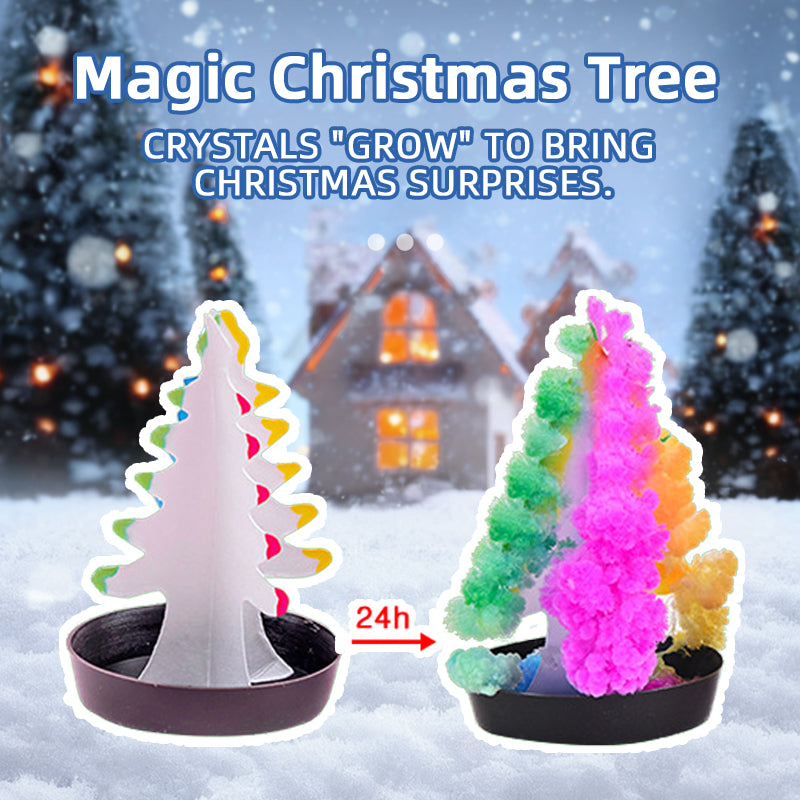 Crystal Growing Experiment Kit (TXX-011)