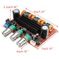 DC12-24V TPA3110D2 2.1 Channel Digital Subwoofer Power Amplifier Board