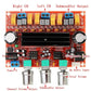 DC12-24V TPA3110D2 2.1 Channel Digital Subwoofer Power Amplifier Board